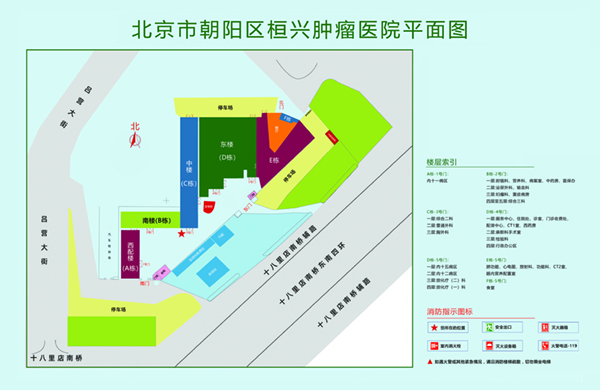 大黑鸡巴叉逼视频北京市朝阳区桓兴肿瘤医院平面图